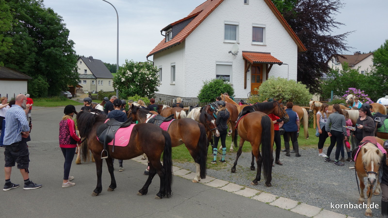 Großer Andrang beim Pferdewiegen in Kornbach
