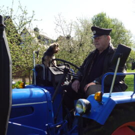93 Oldtimer-Traktoren beim Maifest in Kornbach